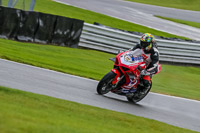 PJ-Motorsport-Photography-2020;anglesey;brands-hatch;cadwell-park;croft;donington-park;enduro-digital-images;event-digital-images;eventdigitalimages;mallory;no-limits;oulton-park;peter-wileman-photography;racing-digital-images;silverstone;snetterton;trackday-digital-images;trackday-photos;vmcc-banbury-run;welsh-2-day-enduro